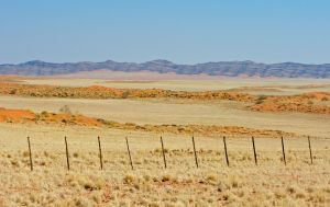 02_88R3639.jpg