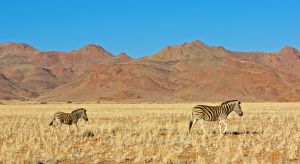 19_88R4075.jpg