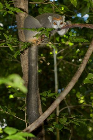 13_88R0965.jpg